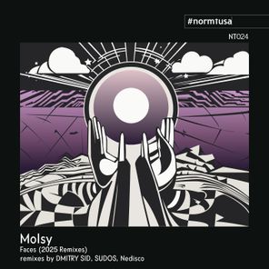Molsy, Nedisco – Faces (2025 Remixes)