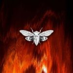Axelax – Secret Place