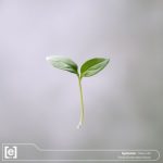 Epitomic – New Life