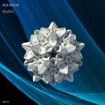 Nick Mason – Injustice