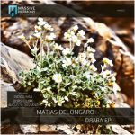 Indigo Man, Augusto Dassano – Draba