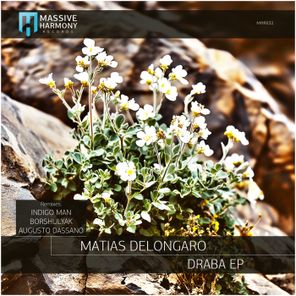Indigo Man, Augusto Dassano – Draba