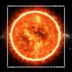 Roei Dolev – Flames
