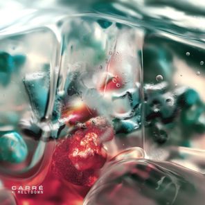 dBridge, Carré – Meltdown