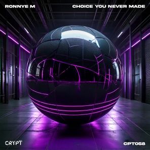 Ronnye M – Choice You Never Made