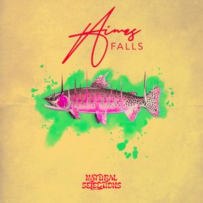 Thomass Jackson, Javier Ferreira – Falls