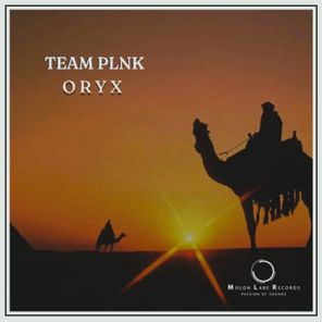 TEAM PLNK – Oryx