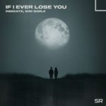 Idin Gorji, Indicate – If I Ever Lose You
