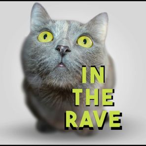 Fats, Milson – In The Rave