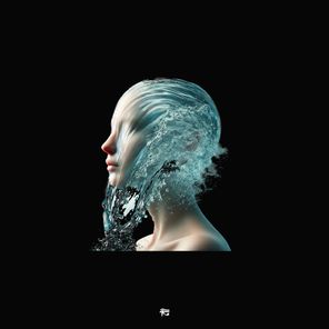 PAVL – Echo