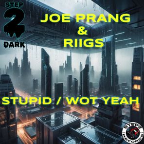 Riigs, Joe Prang – Wot Yeah / Stupid
