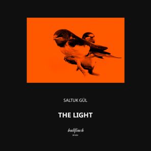 Saltuk Gül – The Light