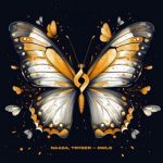 NAASA, Tryger – Owls