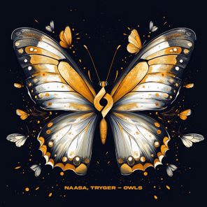 NAASA, Tryger – Owls