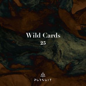 Carles, PKNeer – Wild Cards 25