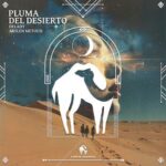 Cafe De Anatolia, Delady – Pluma Del Desierto