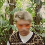 Cafe De Anatolia, Max Ken – Bird Brain