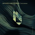 Silicodisco, Mao Fonnegra – Fluid Condensers
