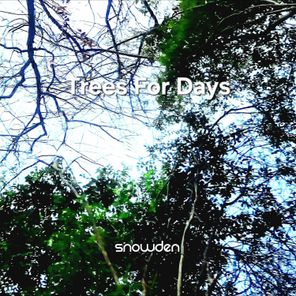 Jim Carson, DJ Snowden – Trees for Days