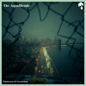 The AquaBlendz – Essence of Pureness