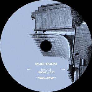 Rødig – Mushroom