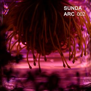 Sunda Arc – SUNDA ARC 002