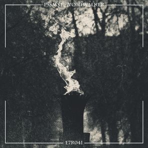 PSSMST – Voidwalker