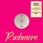 Lorenzo Righini, Nu Ground Foundation – I Wanna Believe