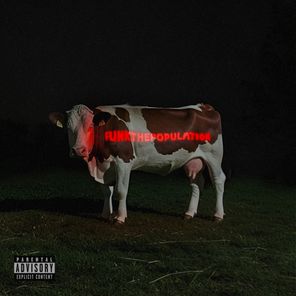 Yablochko Zelenoe – FUNKTHEPOPULATION