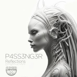 P4SS3NG3R – Reflections