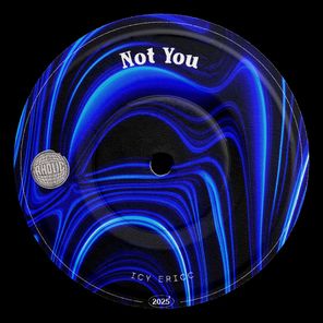 ICY ERICC – Not You
