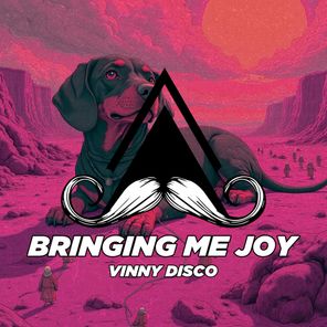 Vinny Disco – Bringing Me Joy