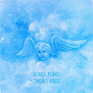 Travel Plans – ORCHID VIBES