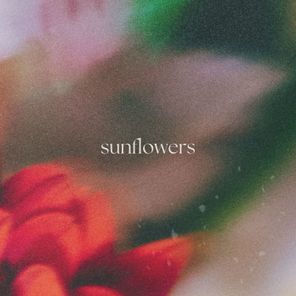 Mat Hours, Lilla Shy – Sunflowers