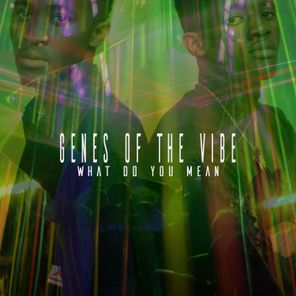 Genes Of The Vibe – What Do You Mean