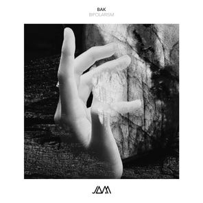 Bak (IT) – Bipolarism