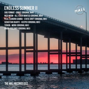 Tenvin, dub.format – Endless Summer Vol II