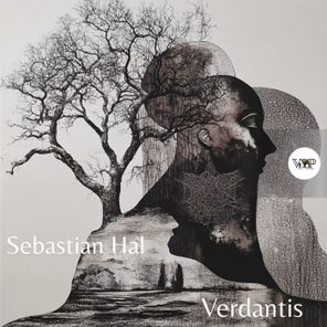 Sebastian Hal, CamelVIP – Verdantis