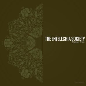 The Entelechia Society – Mellow Flex