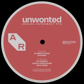 Unwonted – Analog Astronaut, Pt. 2