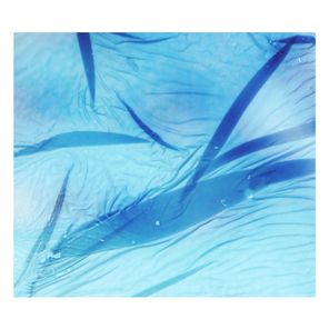 Karen Vogt, Jolanda Moletta – Sea-swallowed Wands