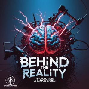 Psychotic Storm, Damage System – Behind The Reality