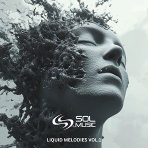 Organic Soup, Josh Vino – Liquid Melodies, Vol. 1