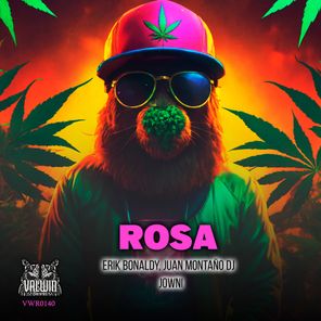 Erik Bonaldy, Juan Montaño Dj – Rosa