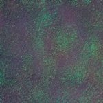 c5eafd1a cfa4 4690 b0b7 bd116e077720