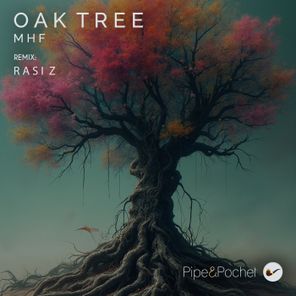 Rasi Z, MHF – Oak Tree