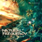 Natural Frequency – Rebirth