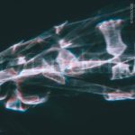 Mario Bianco – Shiny Tiny