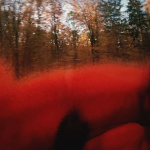 Douglas Greed – Nun bin ich zu alt, um Wolfgang zu verlassen
