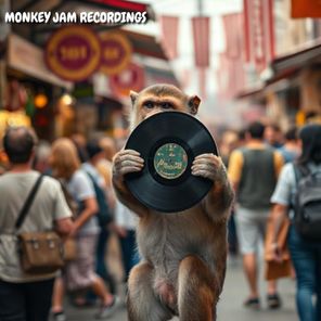 Damir Pushkar – Get Down